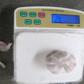 Frischer Jingxia-Knoblauch mit Superqualität im heißen Verkauf